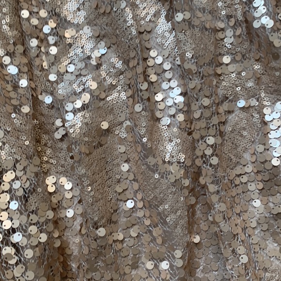 Gorgeous Eloquii studio collection sequin skirt. - Picture 3 of 5
